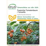 Saflax Tropischer Tomatenbaum / Tamarillo