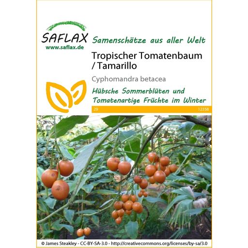 Saflax Tropischer Tomatenbaum / Tamarillo - 1 Pkg