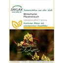 Saflax Pillangófa - 1 csomag