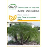 Saflax Dattier du Mékong