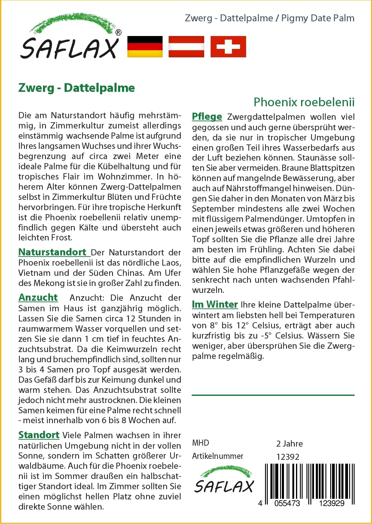 Saflax Zwerg - Dattelpalme - 1 Pkg