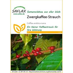 Saflax Zwergkaffee-Strauch - 1 Pkg