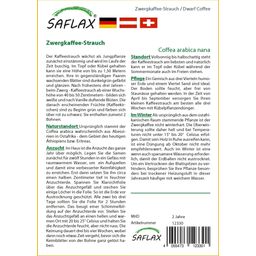 Saflax Zwergkaffee-Strauch - 1 Pkg