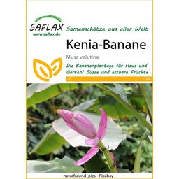 Saflax Kenia-Banane - 1 Pkg