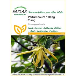 Saflax Ylang-Ylangboom - 1 Verpakking