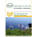 Saflax Schmucklilie / Liebesbaum - 1 Pkg