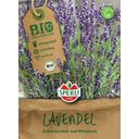 Sperli Organic Lavender - 1 Pkg