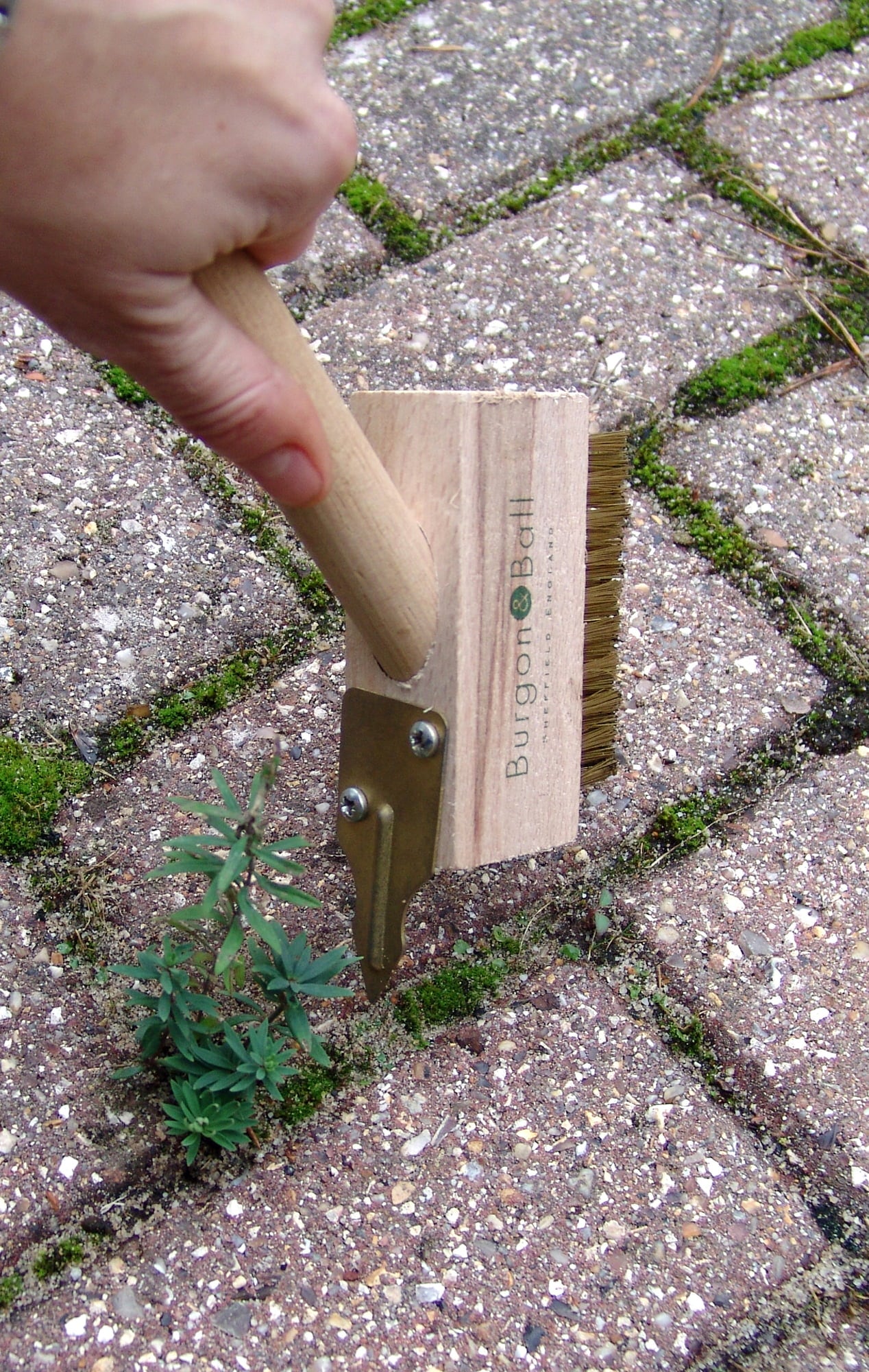 Burgon & Ball Brush & Weeder 45 cm - 1 item