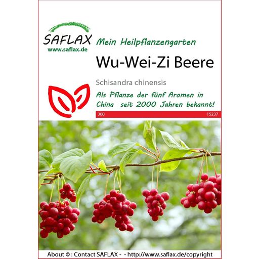 Saflax Wu-Wei-Zi Beere - 1 Pkg