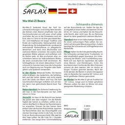 Saflax Kínai kúszómagnólia - 1 csomag
