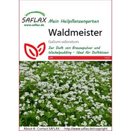 Saflax Waldmeister