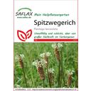 Saflax Spitzwegerich - 1 Pkg