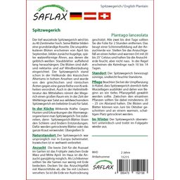 Saflax Spitzwegerich - 1 Pkg