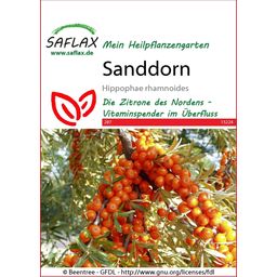 Saflax Sanddorn - 1 Pkg