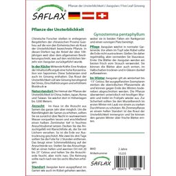 Saflax Jiaogulan - 1 Verpakking