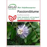 Saflax Passiflore Officinale