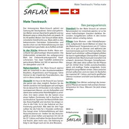 Saflax Mate Theestruik - 1 Verpakking