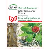 Saflax Chinese Ginseng