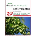 Saflax Echter Hopfen - 1 Pkg