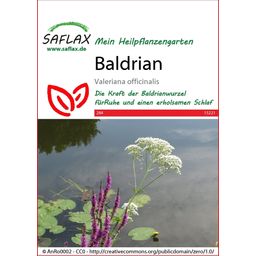 Saflax Baldrian