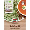 Sperli Bio nasiona kiełków - brokkoletti - 15 g