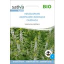 Sativa Organic Common Mugwort - 1 Pkg