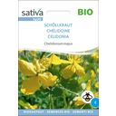 Sativa Bio lastovičník väčší - 1 bal.
