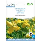 Sativa Bio lastovičník väčší