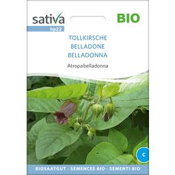 Sativa Organic Deadly Nightshade - 1 Pkg
