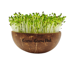 Grow-Grow Nut Zestaw startowy do uprawy Microgreens