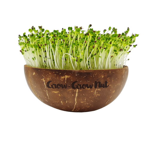 Grow-Grow Nut Microgreens Starter Package - 1 Set