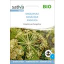 Sativa Biologische Engelwortel - 1 Verpakking