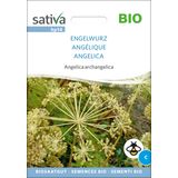 Sativa Angélique Bio