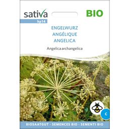 Sativa Biologische Engelwortel - 1 Verpakking