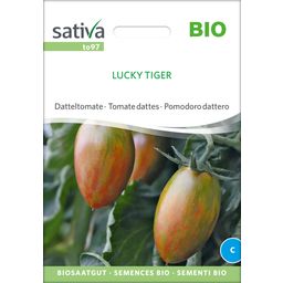 Sativa Organic Date Tomato "Lucky Tiger"