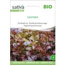 Sativa Bio Eichblatt rot 