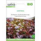 Sativa Bio Eichblatt rot "Cantarix"