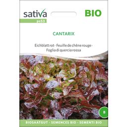 Sativa Bio Eichblatt rot "Cantarix"