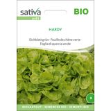Sativa Foglia di Quercia Verde Bio - Hardy