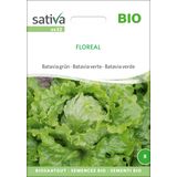 Sativa Batavia Verde Bio - Floreal