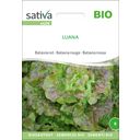 Sativa Laitue Batavia Rouge Bio 