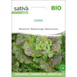 Sativa Bio Batavia rot "Luana"