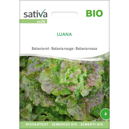 Sativa Organic Batavia Red 