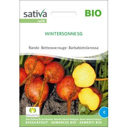 Sativa Bio Rande / Rote Rübe "Wintersonne SG"