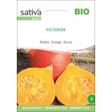 Sativa Bio Kürbis "Fictor DB"