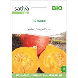 Sativa Biologische Pompoen “Fictor DB” - 1 Verpakking
