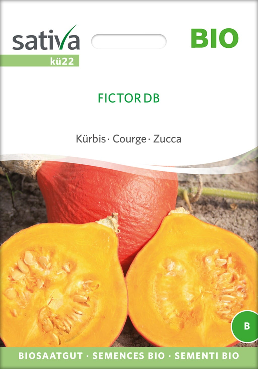 Organic Pumpkin 