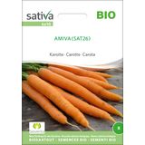 Sativa Biologische Wortel "Amiva"