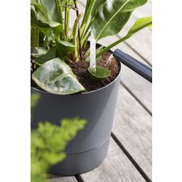 elho greensense aqua care 35cm - Charcoal grey