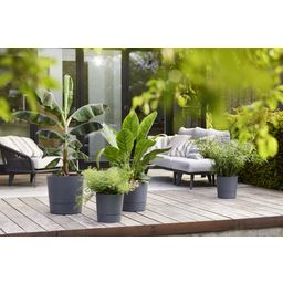 elho greensense aqua care 35cm - Charcoal grey